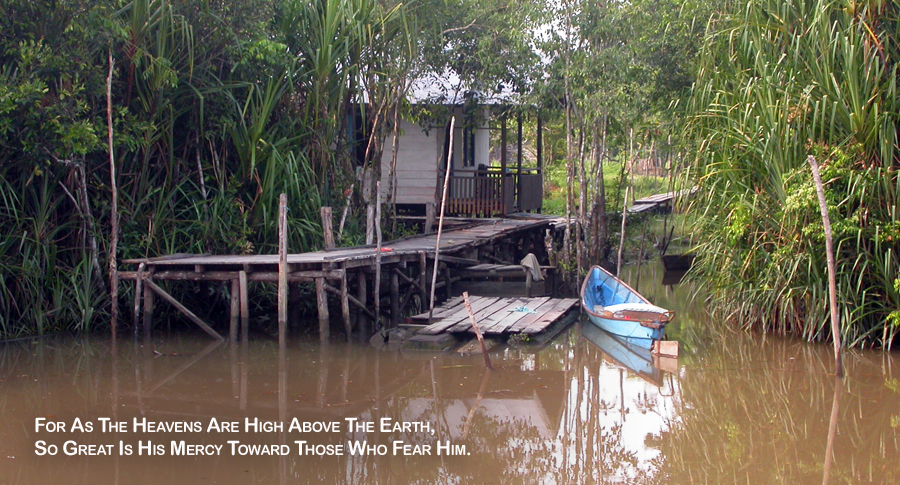 Real Power Maxing Out On God's Love - David J. Abbott M.D. - Positive Thinking Doctor