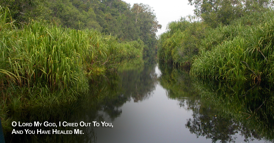 Real Power Maxing Out On God's Love - David J. Abbott M.D. - Positive Thinking Doctor