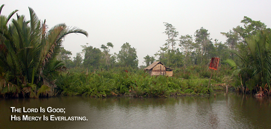 Real Power Maxing Out On God's Love - David J. Abbott M.D. - Positive Thinking Doctor