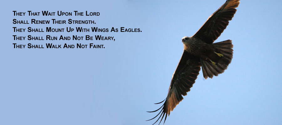 Real Power Maxing Out On God's Love - David J. Abbott M.D. - Positive Thinking Doctor